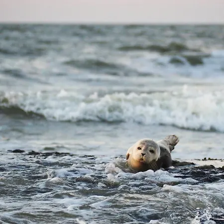 Mit Meeresblick * Wangerooge