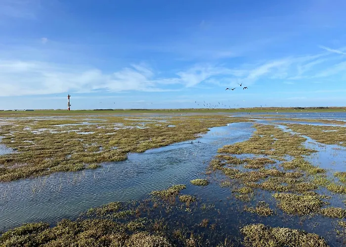 Mit Meeresblick Appartamento Wangerooge